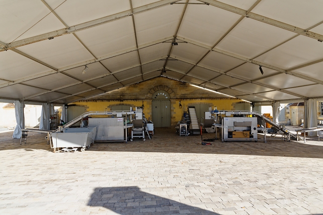 Balade avec Monique (Médoc et Blaye)-027